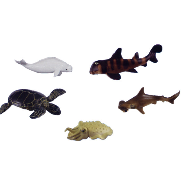 人気商品！！ ♯Hui28DH地球生命紀行タラバガニ\u0026日本近海の魚たち