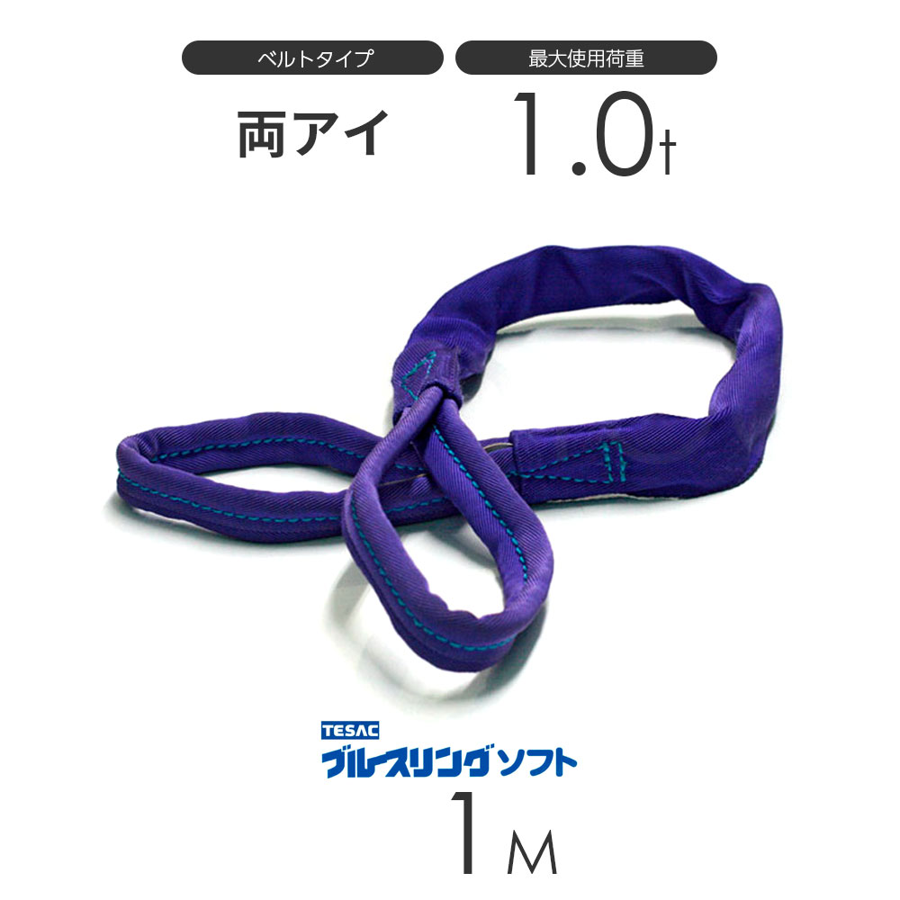 ブルースリング ソフト E型 両端アイ 1.0t × 【SALE／84%OFF】 in 1.0M 新しいブランド made JAPAN ベルトスリング