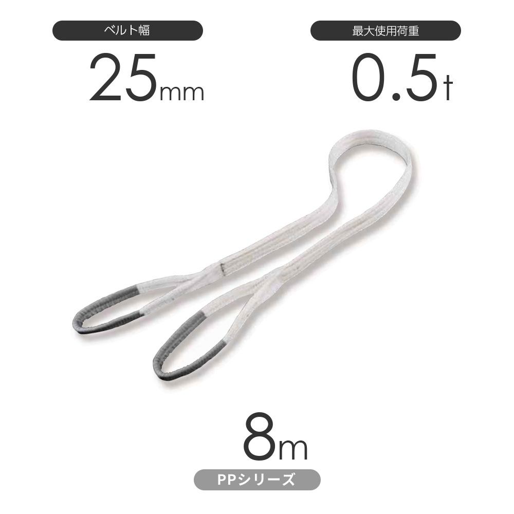 化学薬品用ベルトスリング PPシリーズ 両端アイ形（E型）幅25mm×8m 使用荷重:0.5t 丸善織物
