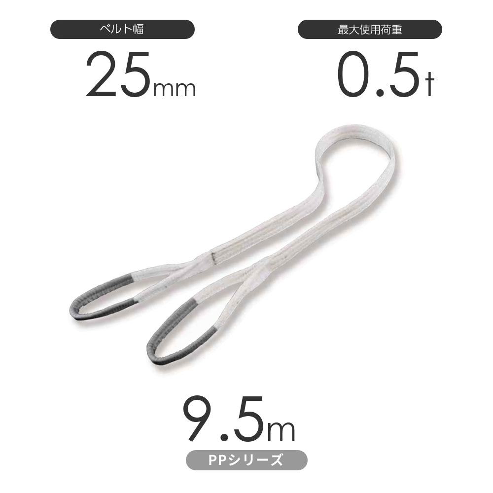 化学薬品用ベルトスリング PPシリーズ 両端アイ形（E型）幅25mm×9.5m 使用荷重:0.5t 丸善織物