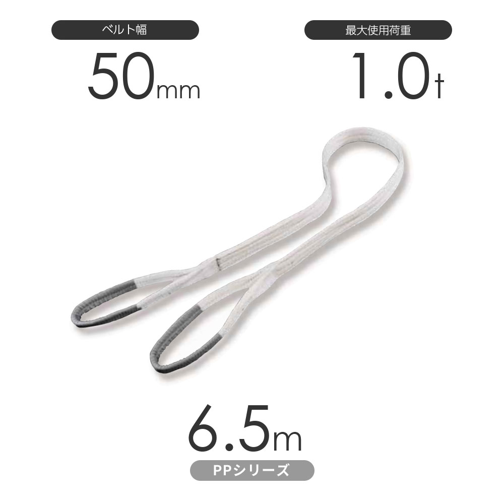 化学薬品用ベルトスリング PPシリーズ 両端アイ形（E型）幅50mm×6.5m 使用荷重:1.0t 丸善織物 8,900円