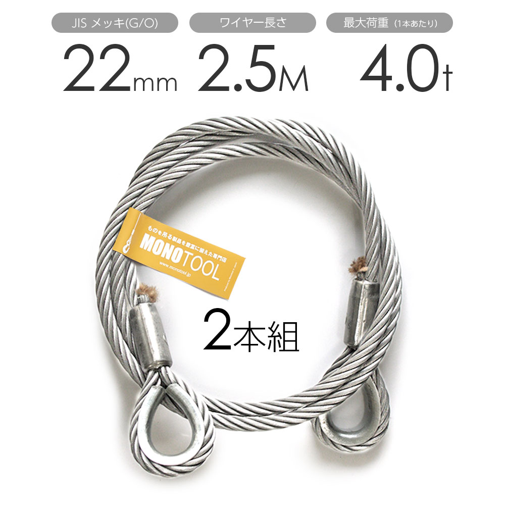 玉掛け導線 2本組 両シンブル メッキ 22mmx2.5m 安全・保護用品-花・ガーデン・DIY-DIY・工具