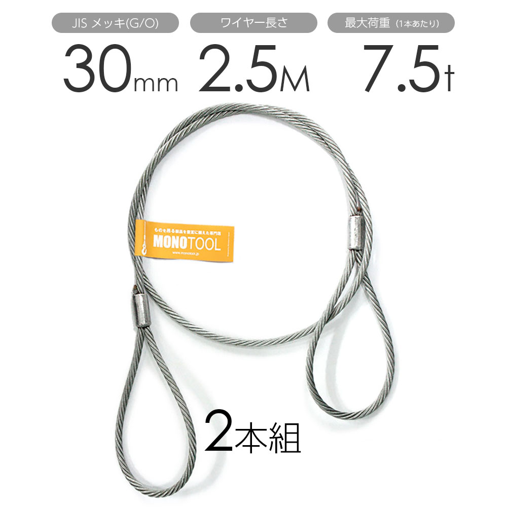 玉掛けワイヤー 2本組 両アイロック加工 メッキ 30mmx2.5m