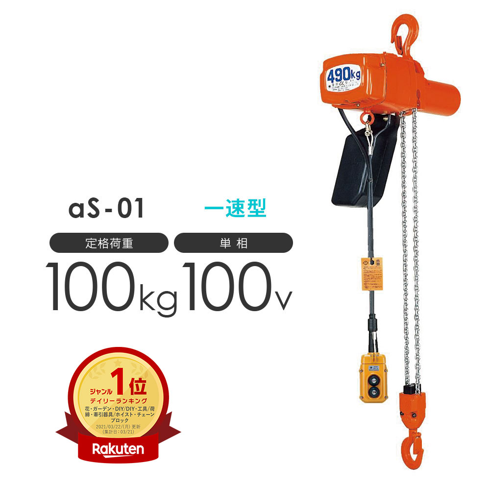 ELEPHANT エレファント 象印 チェーンブロック H-100 10ｔ-