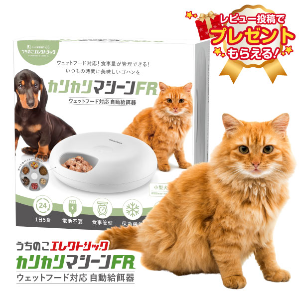 楽天市場】【本製品は販売終了しました】カリカリマシーンSP 猫 犬 自動給餌器 カメラ付き スマホ操作 自動餌やり機 給餌器 餌 エサ えさ 自動  ペット 転倒防止 ロック 見守りカメラ スマホ連動 スマホ 遠隔操作 アプリ操作 リモート コンパクト スリム うちのこ 送料無料 ...