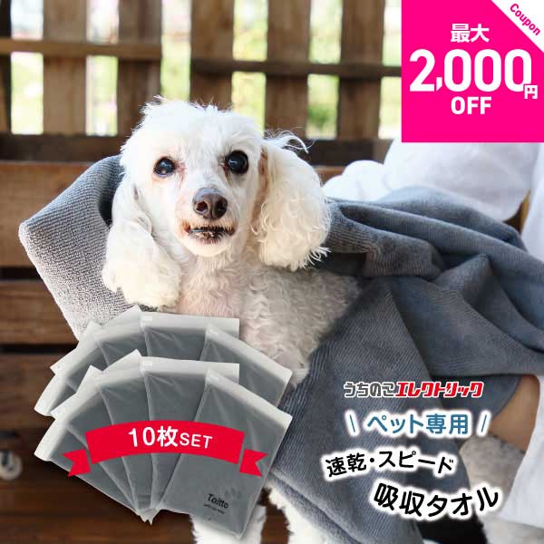 楽天市場】レビュー特典付☆ペットタオル 犬 猫 吸水 速乾 マイクロ