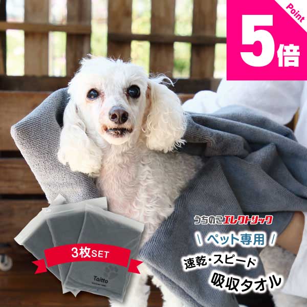 楽天市場】レビュー特典付☆ペットタオル 犬 猫 吸水 速乾 マイクロ