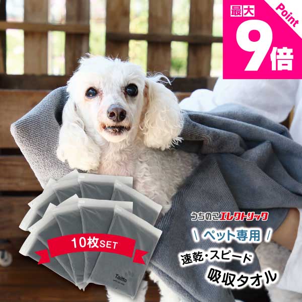 楽天市場】レビュー特典付☆ペットタオル 犬 猫 吸水 速乾 マイクロ