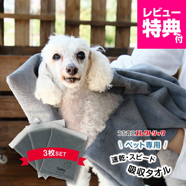 楽天市場】レビュー特典付☆ペットタオル 犬 猫 吸水 速乾 マイクロ