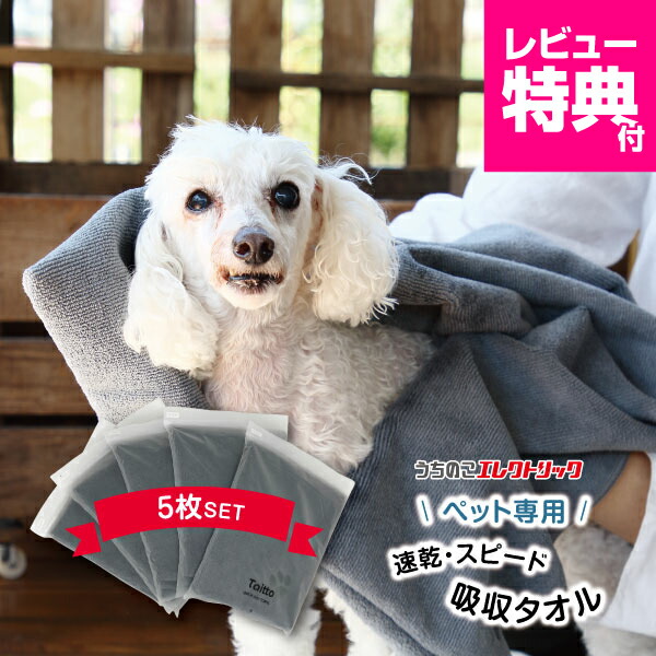 DogOne製ドライヤー Quick Dry + マイクロ ファイバータオル3枚 DogOne製ドライヤー Quick Dry + マイクロ ファイバータオル3枚