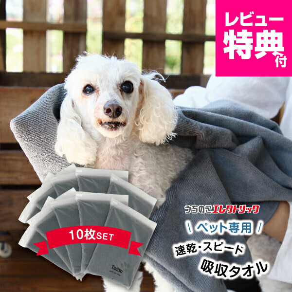 DogOne製ドライヤー Quick Dry + マイクロ ファイバータオル3枚 DogOne製ドライヤー Quick Dry + マイクロ ファイバータオル3枚