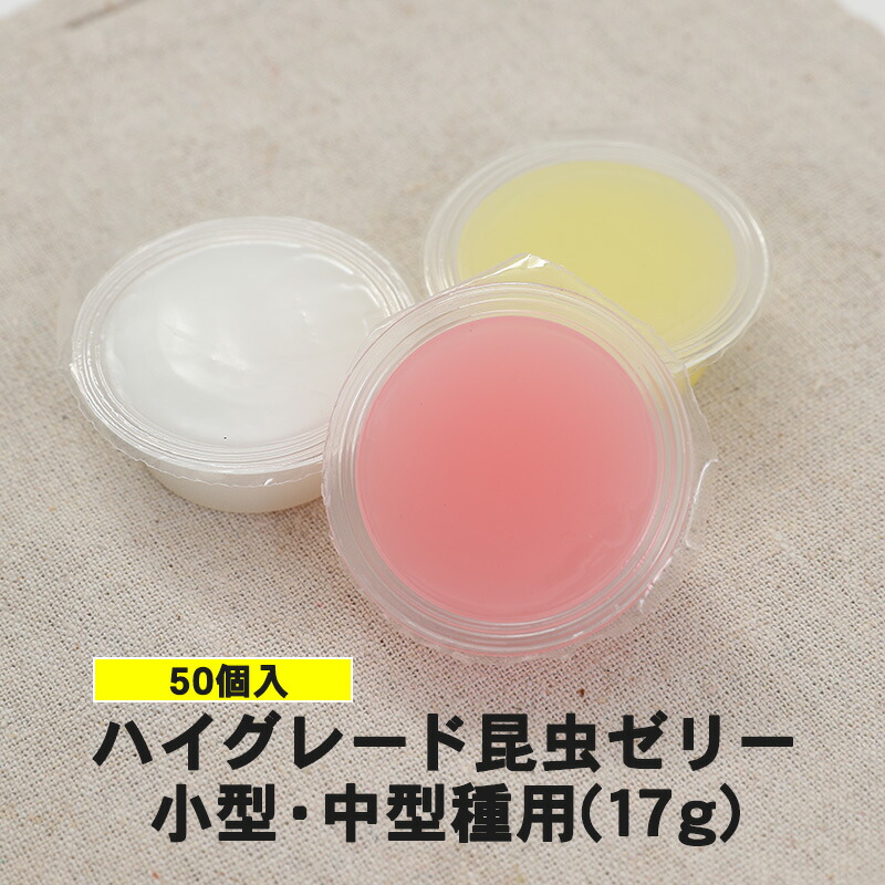 市場 食いつき抜群 小型 50個入り 中型種用 17g ハイグレード昆虫ゼリー