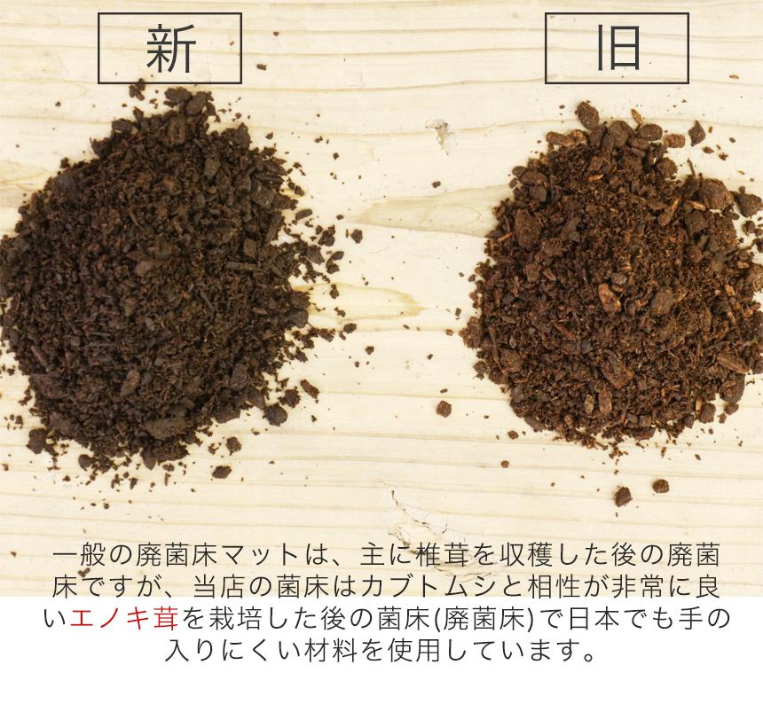 楽天市場 送料無料 超高カロリー 廃菌床 カブトムシマット スーパーbig 10リットル 1袋 スーパービッグ 昆虫マット カブトムシ幼虫のえさ 幼虫餌 えさ 完熟マット カブトマット むしや本舗