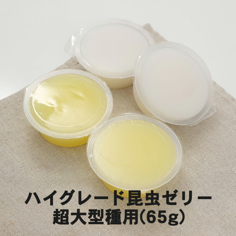 むしや本舗 ハイグレード昆虫ゼリー 超大型種用 65g カブトムシ成虫 クワガタ成虫 エサ 餌 ペット 昆虫ゼリー 昆虫 成虫 ゼリー 飼育 飼育用品 大容量 大型 ヘラクレスオオカブト ネプチューン ゾウカブト 趣味 ギフト プレゼントに