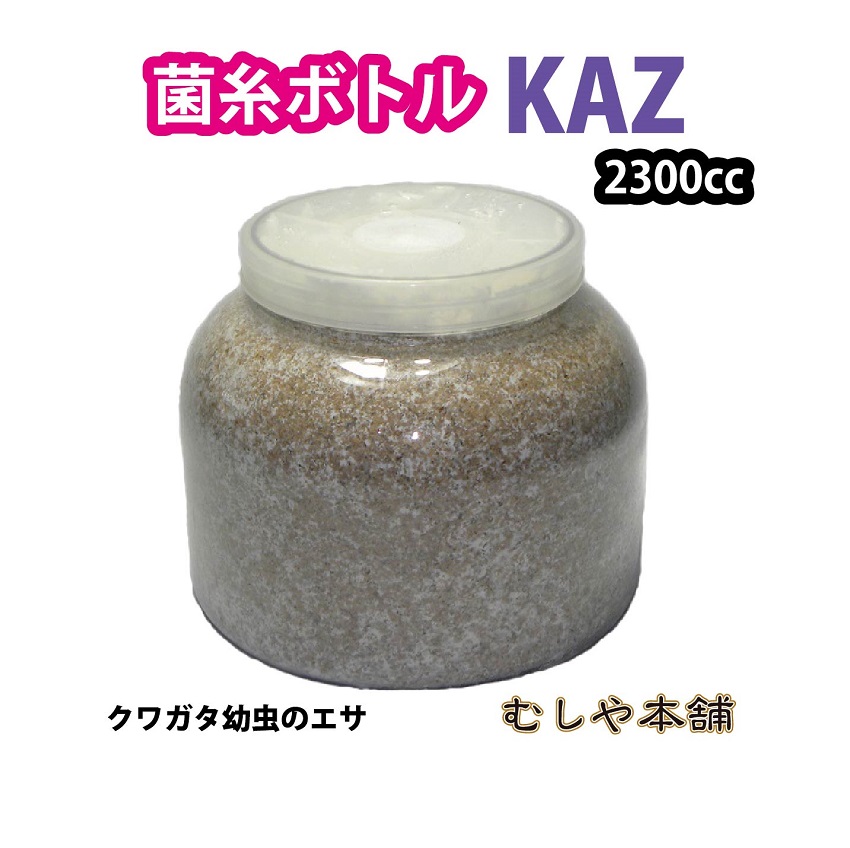 楽天市場】むしや本舗【トレハロース入り菌糸ボトル「バイオパワーKAZ 