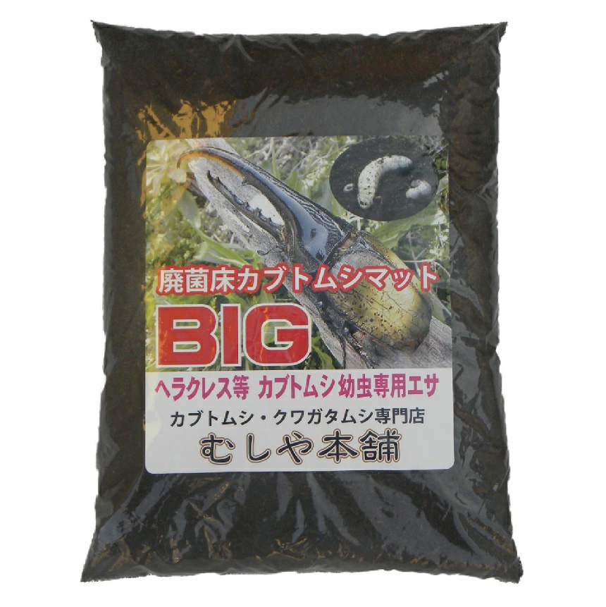 【楽天市場】むしや本舗【高カロリー！廃菌床発酵カブトムシ