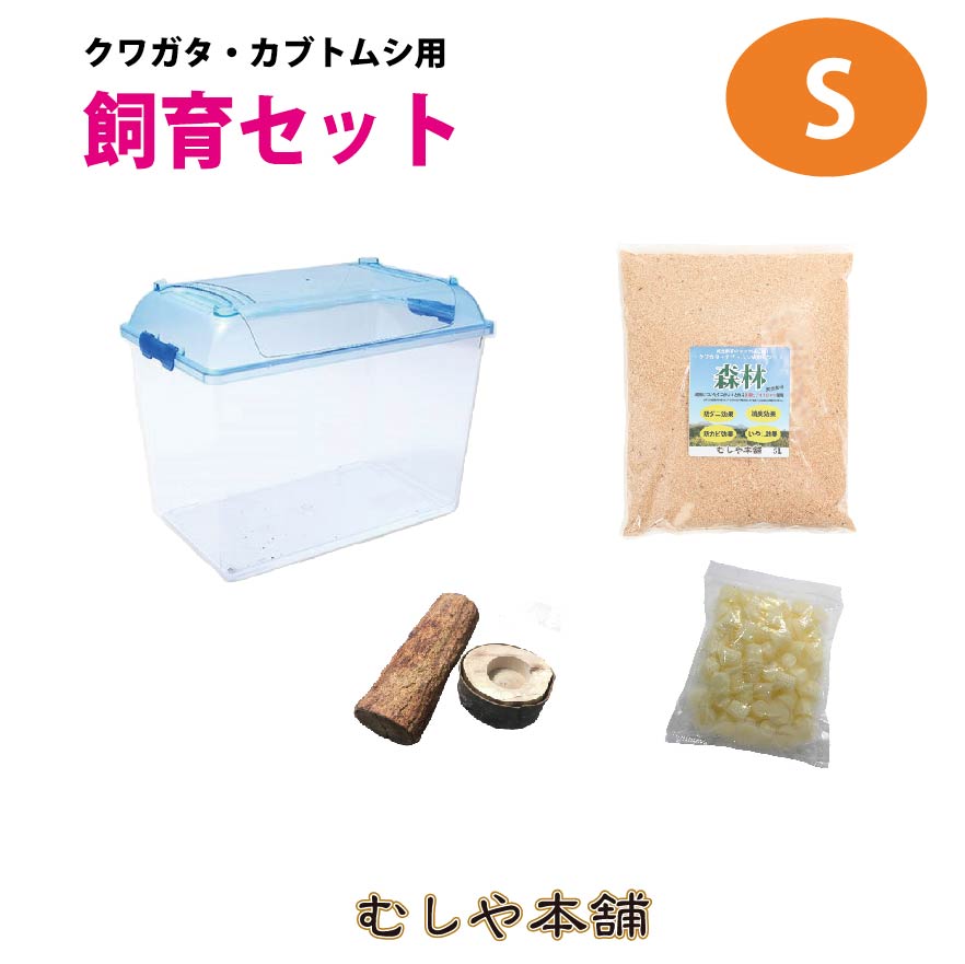 楽天市場】送料無料！【カブトムシ・クワガタ成虫 小型用飼育セット