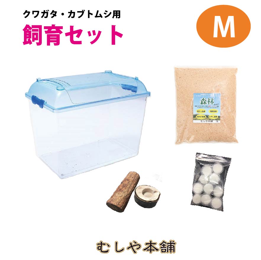 送料無料！【カブトムシ・クワガタ成虫 中型用飼育セット「中型のMサイズ」】飼育ケース 虫かご 昆虫ケース 飼育容器 | むしや本舗