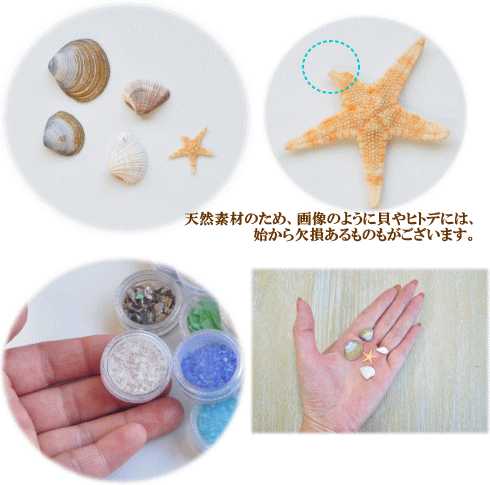 楽天市場 海のリアルセット12種類入り ヒトデ 天然 天然素材 ガラスドーム ジェル ネイル スマホケース ハーバリウム レジン デコ マリン ネイルパーツ 封入パーツ レジン Uvレジン レジン液 Uv クラフト アクセサリー パーツ 貝 天然 プラスチック 手作り工房