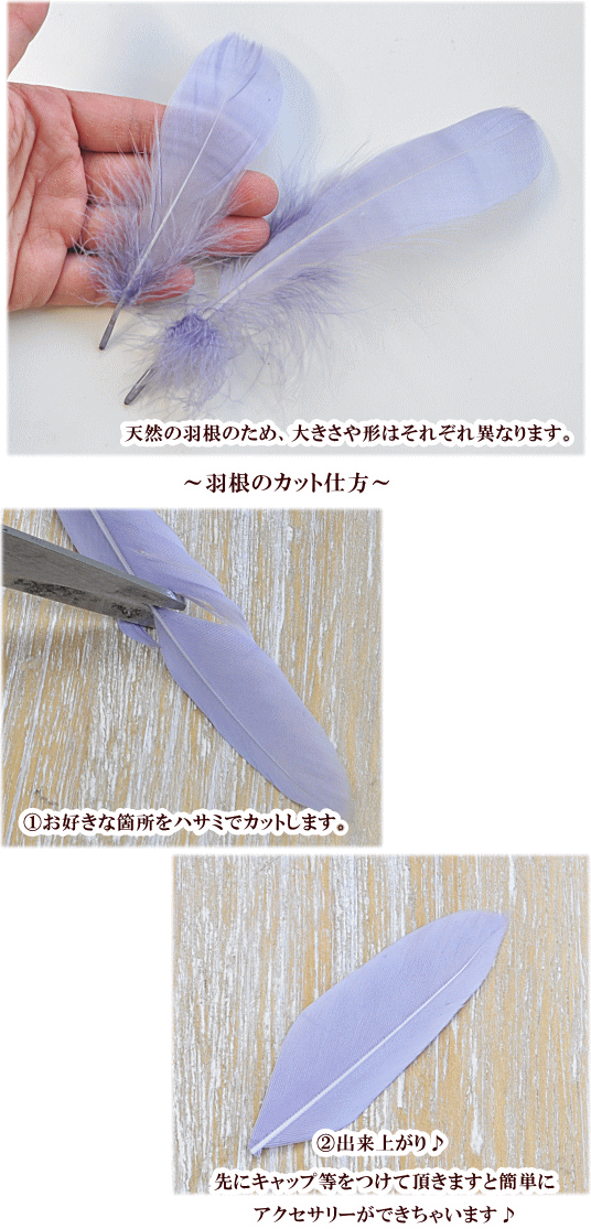 楽天市場 羽根 単品 10枚セット ガチョウ 全8色 約10 5cm 17cm フェザー アクセサリー パーツ チャーム イヤリング ピアス キーホルダー Djh23 手作り工房 ｍｙ ｍａｍａ