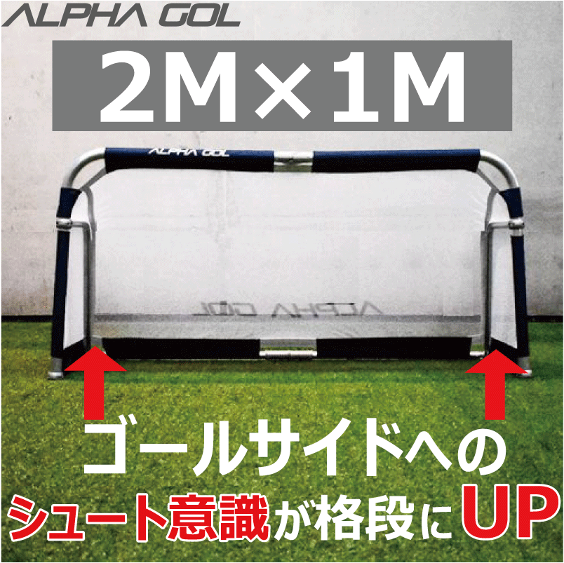 市場 乾燥まいたけ 30g×4個セット 新潟産 別送料 マクロビオティック 沖縄