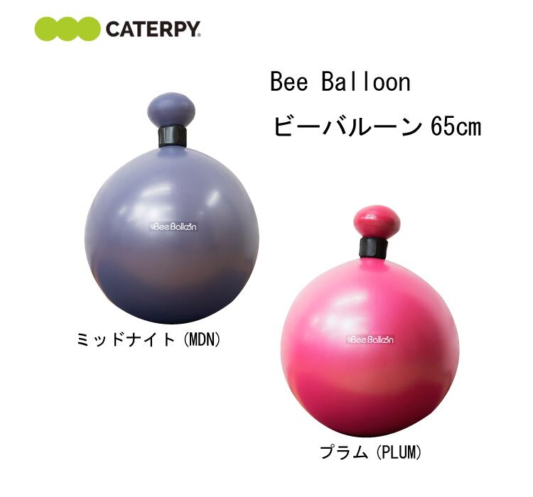 ピンポン夢見鳥特集