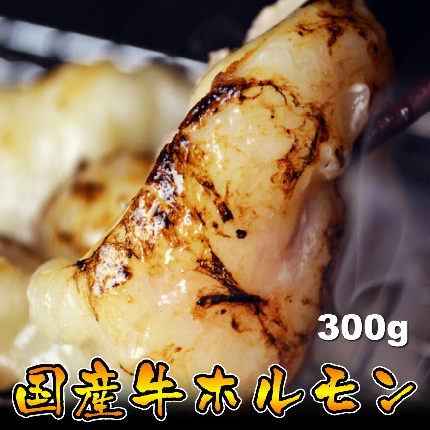 国産牛ホルモン３００ｇ（焼肉、バーベキュー、もつ鍋、ホルモンうどん等に）