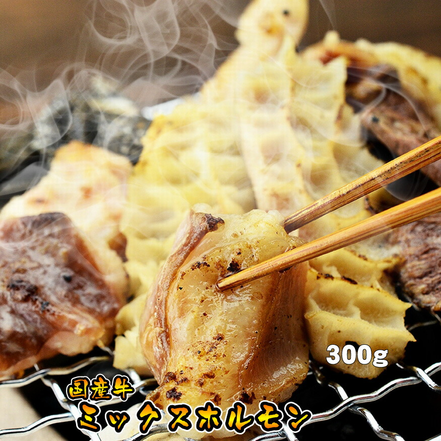 国産牛ミックスホルモン３００ｇ（焼肉、バーベキュー、もつ鍋、ホルモンうどん等に）