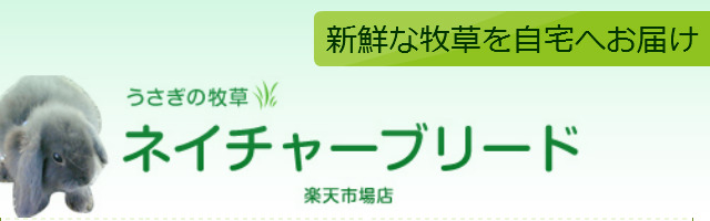 ͥ㡼֥꡼