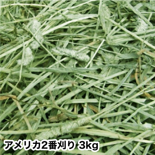 あや　アメリカ産チモシー20㎏＋キューブ1㎏ daishin-bussan2_db-timothy30kg