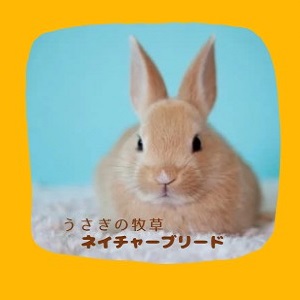うさぎの牧草ネイチャーブリード:ウサギの牧草(チモシー)を低価格で通販! 種類豊富、アレルギー対策、お試し