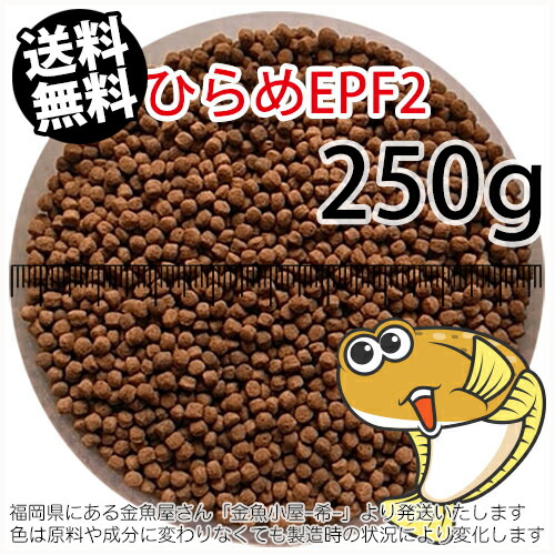 【楽天市場】日清丸紅飼料 ひらめスイングEPF12/12.3mm/浮上性