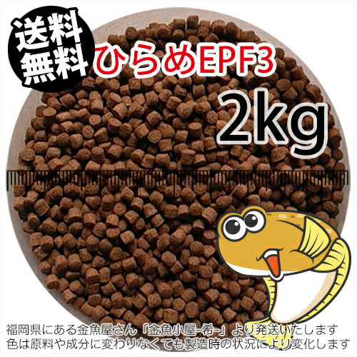 浮上性 日清丸紅飼料ひらめEPF3(3.5mm)2kg小分け品(★宅配便★※東北・北海道・沖縄は別途送料800円/金魚小屋-希-福岡/3日)