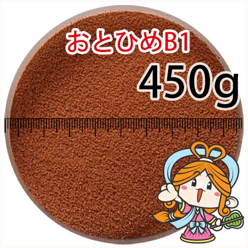 みにゃんお値下げ 楽天市場】沈降性(沈下性)日清丸紅飼料おとひめB2(0.36~0.62mm