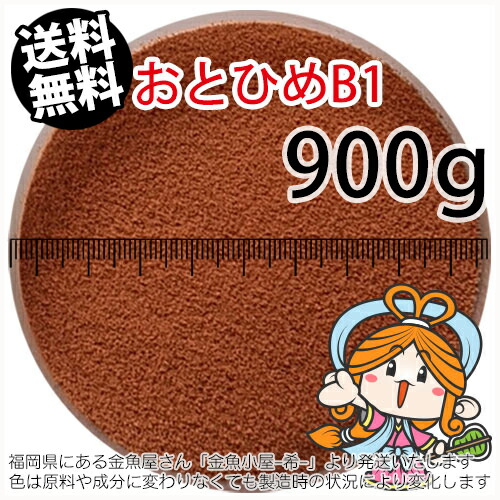楽天市場】沈降性(沈下性)日清丸紅飼料おとひめB2(0.36~0.62mm