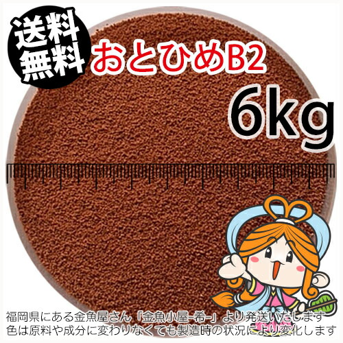 沈降性(沈下性)日清丸紅飼料おとひめB2(0.36~0.62mm)6kg小分け品(★宅配便★※東北・北海道・沖縄は別途送料800円／金魚小屋-希-福岡／3日)