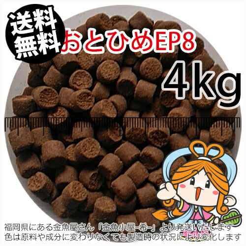 人気新品入荷 ライズ3号 10kg 5kg 2袋 日清丸紅飼料 特売 メダカの餌 おとひめの代用に 金魚 熱帯魚の餌に エサ