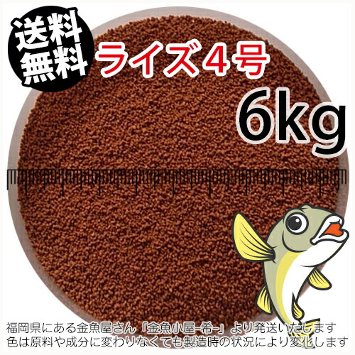 超激安 日清丸紅飼料ライズ4号 粒径0 58 0 84mm 6kg2kg 宅配便 東北 北海道は別途送料900円 金魚小屋 希 福岡 3日 楽天市場 Www Psht Or Id