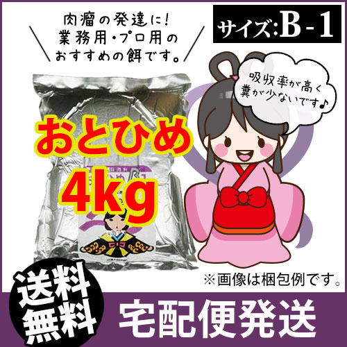 新品即決 宅配 日清丸紅飼料おとひめb1 0 2 0 36mm 4kg 沈降性 メダカのごはん 稚魚の餌 グッピーのエサ 金魚小屋 希 福岡 東北 北海道は別途900円必要です ふれん豆 店 魅力的な Www T9nia Com