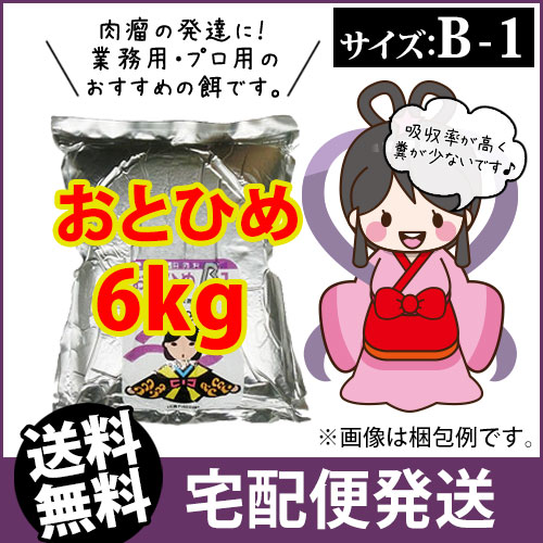 送料無料 宅配 日清丸紅飼料おとひめb1 0 2 0 36mm 6kg 沈降性 人工飼料 メダカのごはん 稚魚の餌 稚魚の餌 グッピーのエサ 金魚小屋 希 福岡 東北 北海道は別途900円必要です ふれん豆 熱帯魚 アクアリウム 店 熱帯魚 アクアリウム