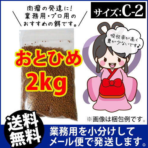 送料無料 メール便kkg 日清丸紅飼料おとひめc2 0 91 1 41mm 2kg 沈降性 グッピーのエサ 金魚小屋 希 福岡 ふれん豆 楽天市場店 メダカのごはん 稚魚の餌