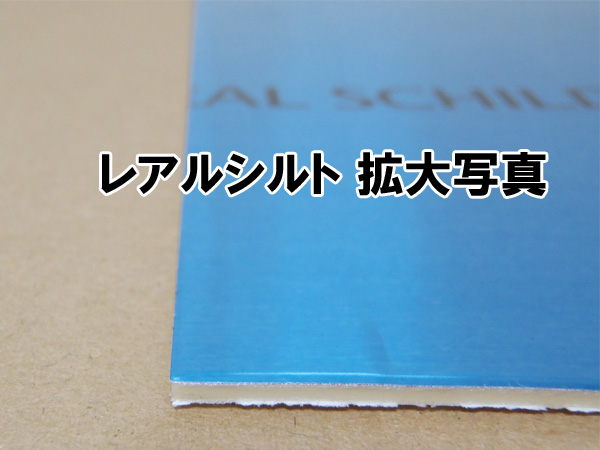 市場 特典付き RSDB-16 16枚入 レアルシルト 超制振材