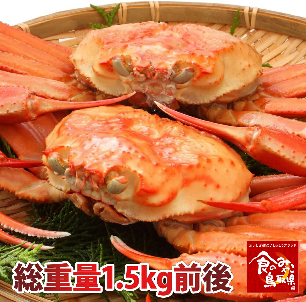 訳あり鳥取境港産天然紅ズワイガニ姿 【茹で】約1.5kg(ゆで上げ後1.2kg前後) 2枚~4枚程度 【かに/カニ/蟹】