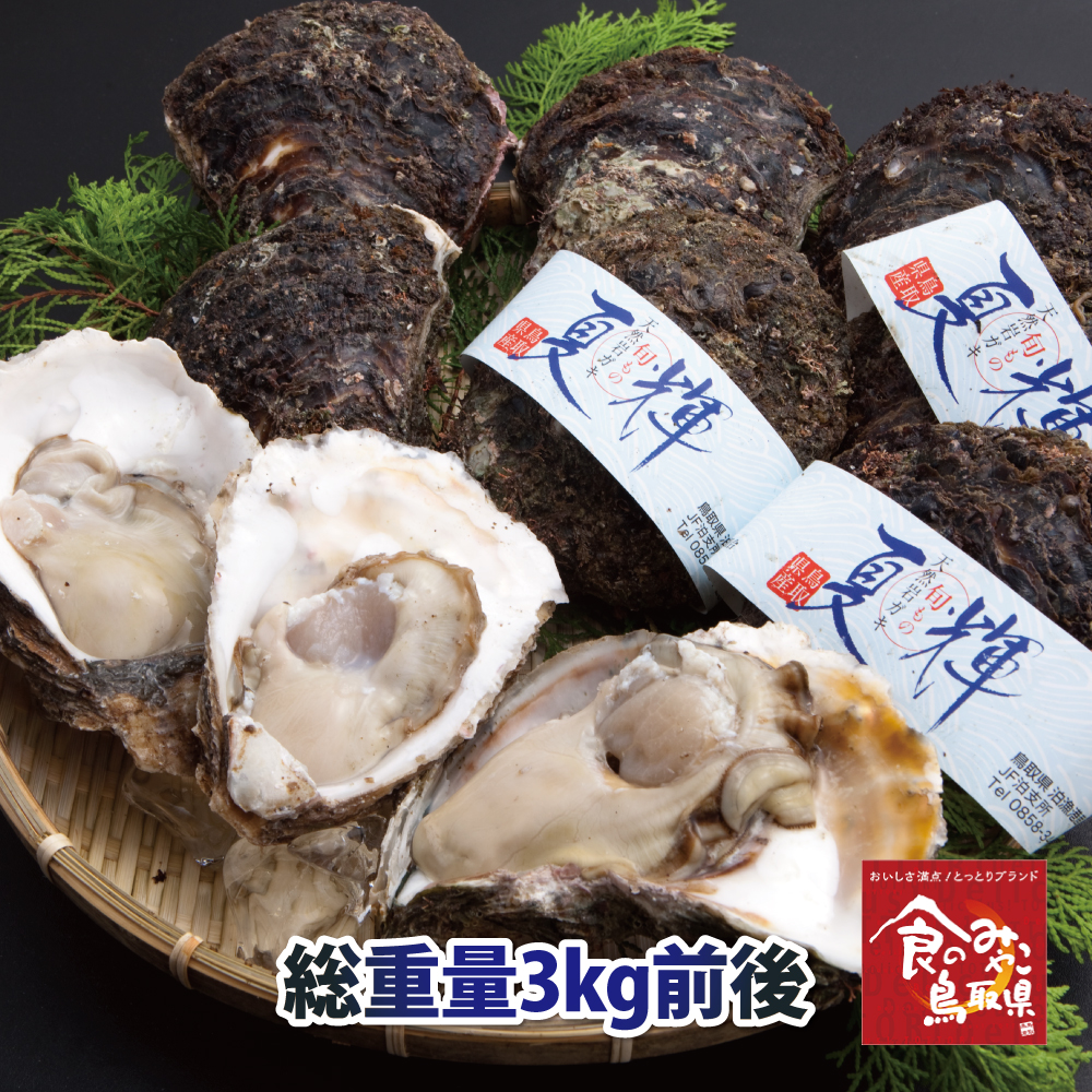 楽天市場 鳥取県産 ブランド天然岩がき 夏輝 約3kg詰め 5個 10個程度 岩ガキ 岩牡蠣 カキ 送料無料 生食用 牡蠣 かに処