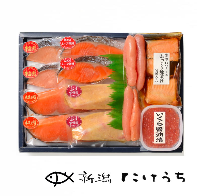 【月間優良ショップ】【高級ギフト 送料無料】ACE100 味のつどい詰合...<br>鮭 塩引き鮭 塩鮭 鮭ギフト しゃけ塩  新潟 鮭 秋鮭 しゃけ 冷凍魚 ギフト 送料無料 冷凍鮭 シャケ  干物 冷凍魚 魚 父の日 父の日ギフト