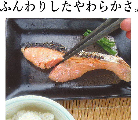 月間上位ストア 出群御持たせ 送料無料 Aps50 味い詰合せ 高級 ギフト 新潟の習慣方式 干した サモン 切り身 魚 始祖の時代 配物 Restaurant Valentino De