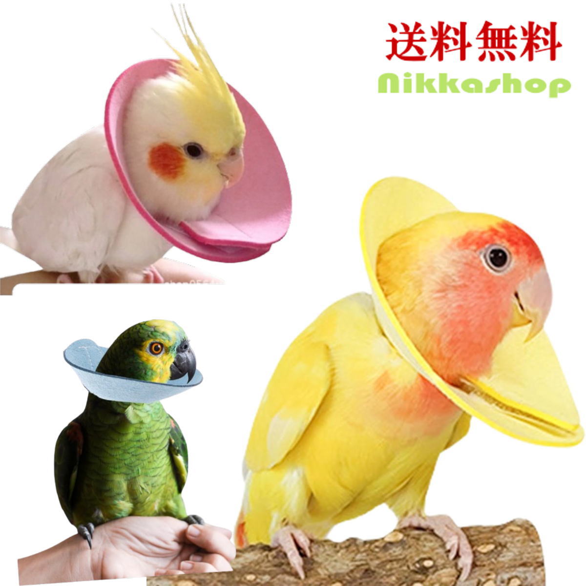 楽天市場】【楽天ランキング1位受賞】エリザベスカラー 鳥 ソフト