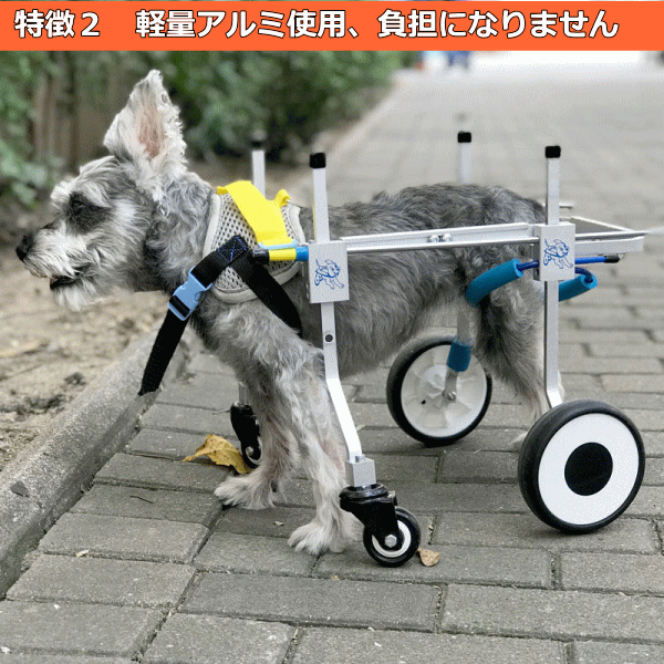 ケース販売送料込 犬用車椅子 4輪（Lサイズ 中型犬） 特典付|その他 