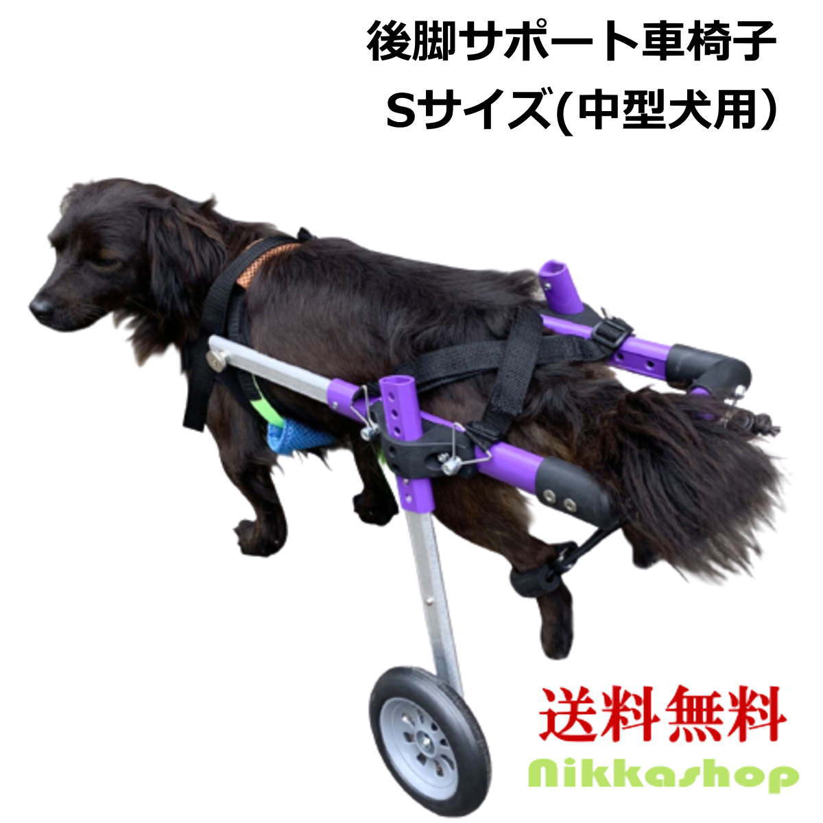 楽天市場】ペット 車椅子 2輪 大型犬 中型犬 後脚サポート 歩行補助 犬