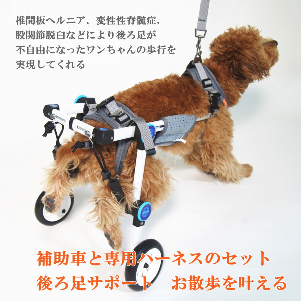 【楽天市場】ペット車椅子 2輪 小型犬 中型犬 後脚サポート しっかりサポート介護ハーネスセット 全身のサイズ調整可能 リハビリ用 歩行補助